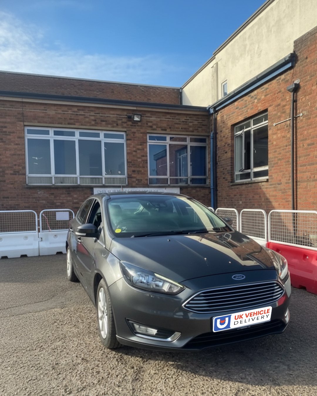 BCA-Paddock-to-Bury-Auction